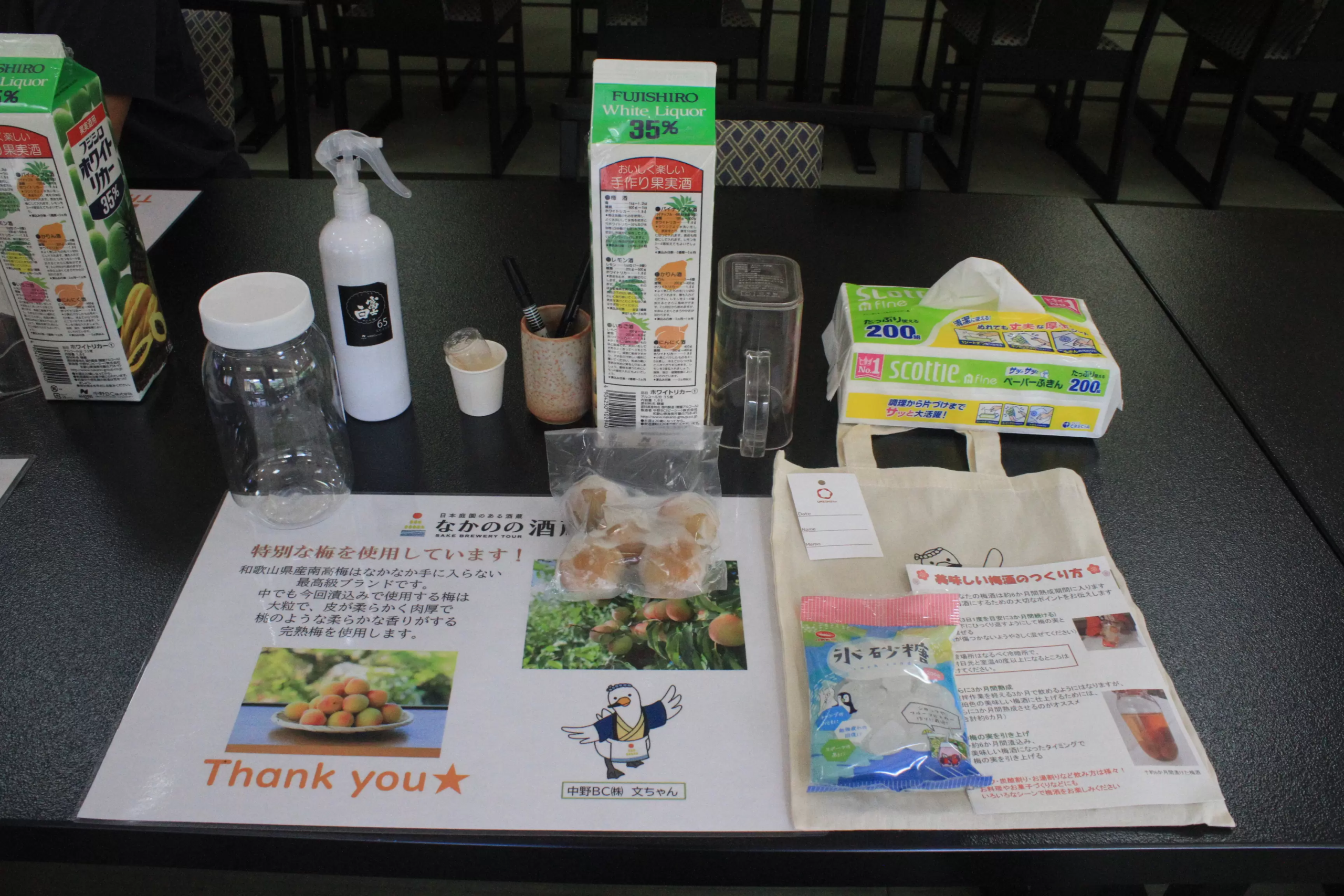 From Orchard to Glass: A Deep Dive into Wakayama’s Industrial Umeshu Experience