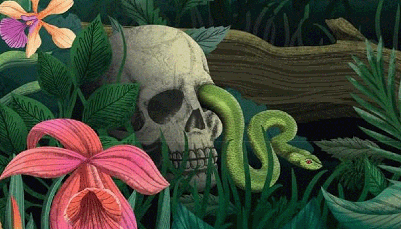 Into the Green Abyss: The Enduring Allure of Jungle Horror