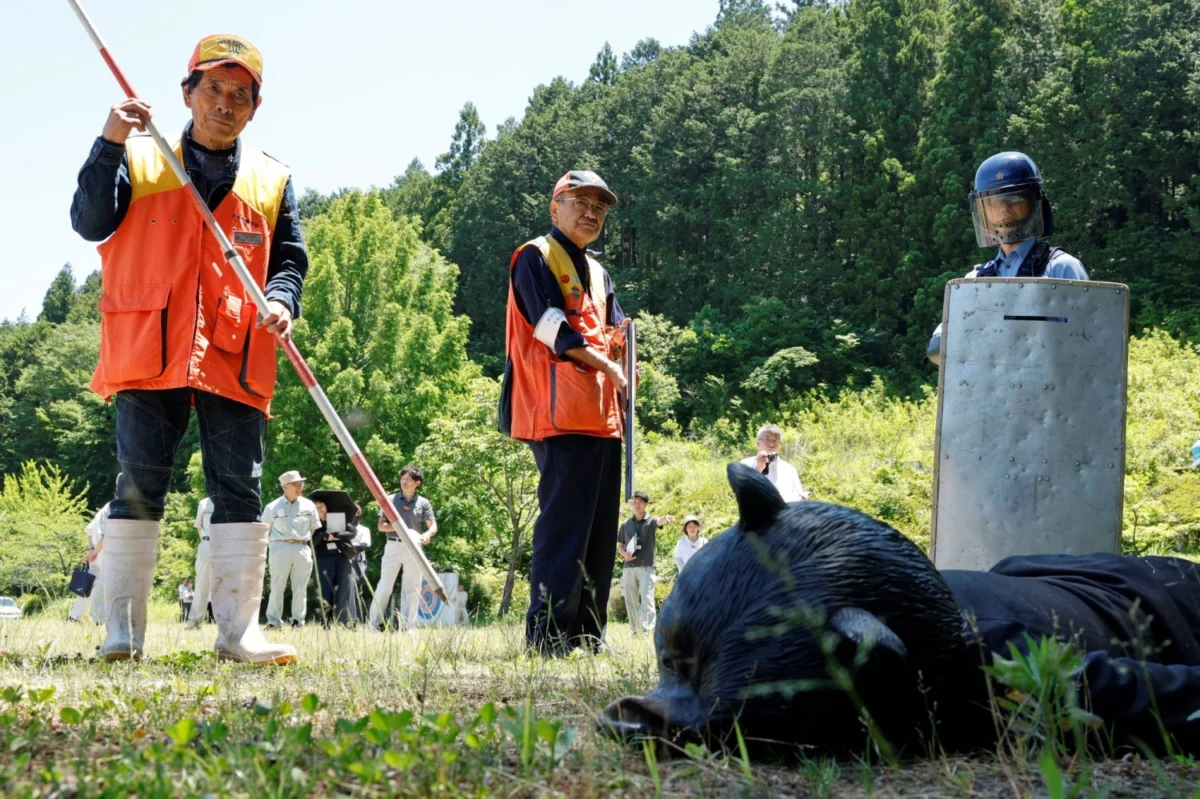 Japan Deploys High-Tech Surveillance as Bear Attacks Reach Crisis Levels