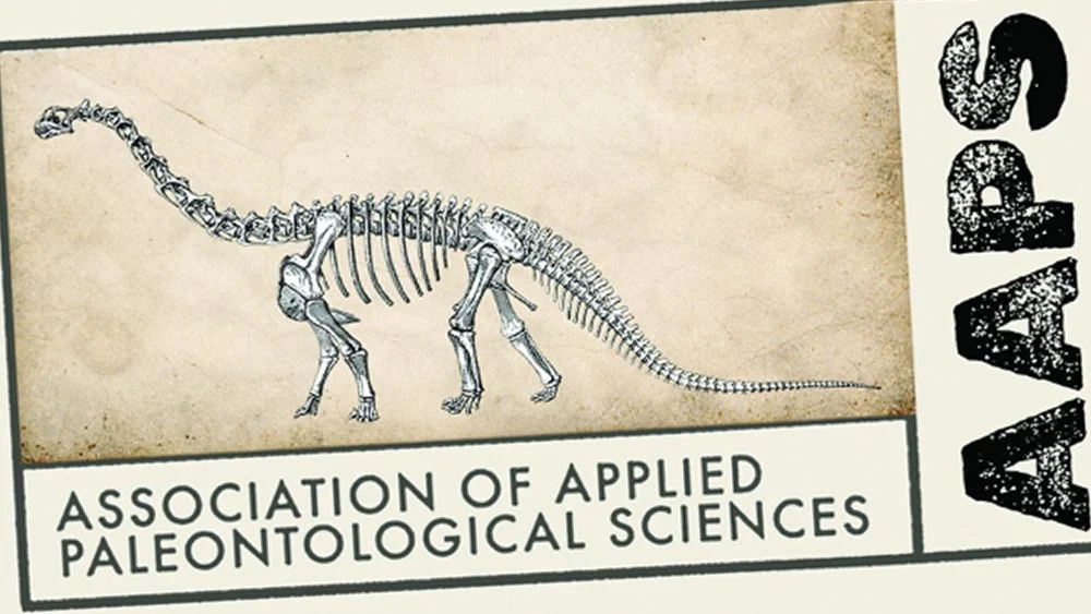 The Art of Ancient Branding: How the AAPS Defied Logo Conventions to Tell a Story