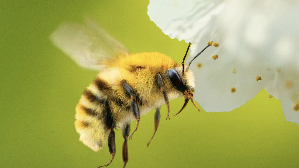 The High Cost of Intelligence: How the AI Boom is Quietly Threatening Global Pollinators