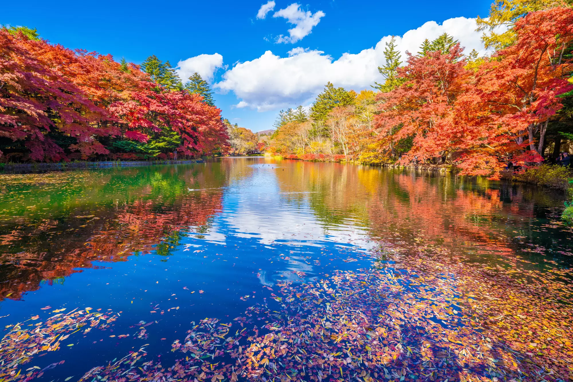 The Highland Haven: A Comprehensive Guide to Karuizawa’s Year-Round Climate and Travel Experience