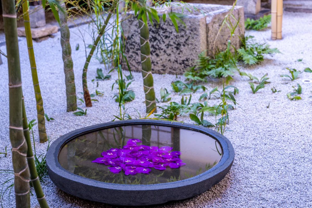 The “Insta-Pest” Crisis: Kyoto Temple Imposes Restrictions Amid Rising Social Media Backlash