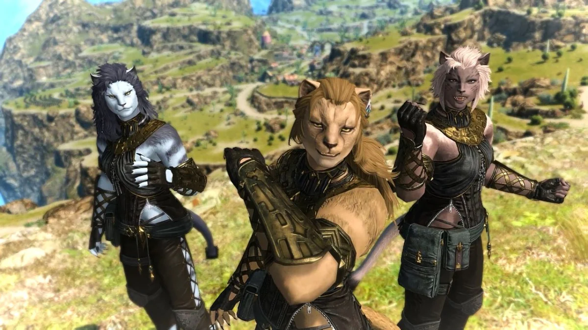 The Privacy Paradox: How the "Memoria" Plugin Sparked a New Debate on FFXIV Safety