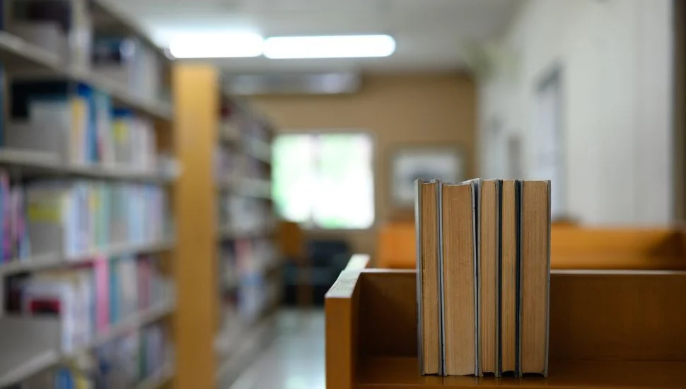The Shifting Landscape of Intellectual Freedom: A Comprehensive Report on Modern Literary Challenges