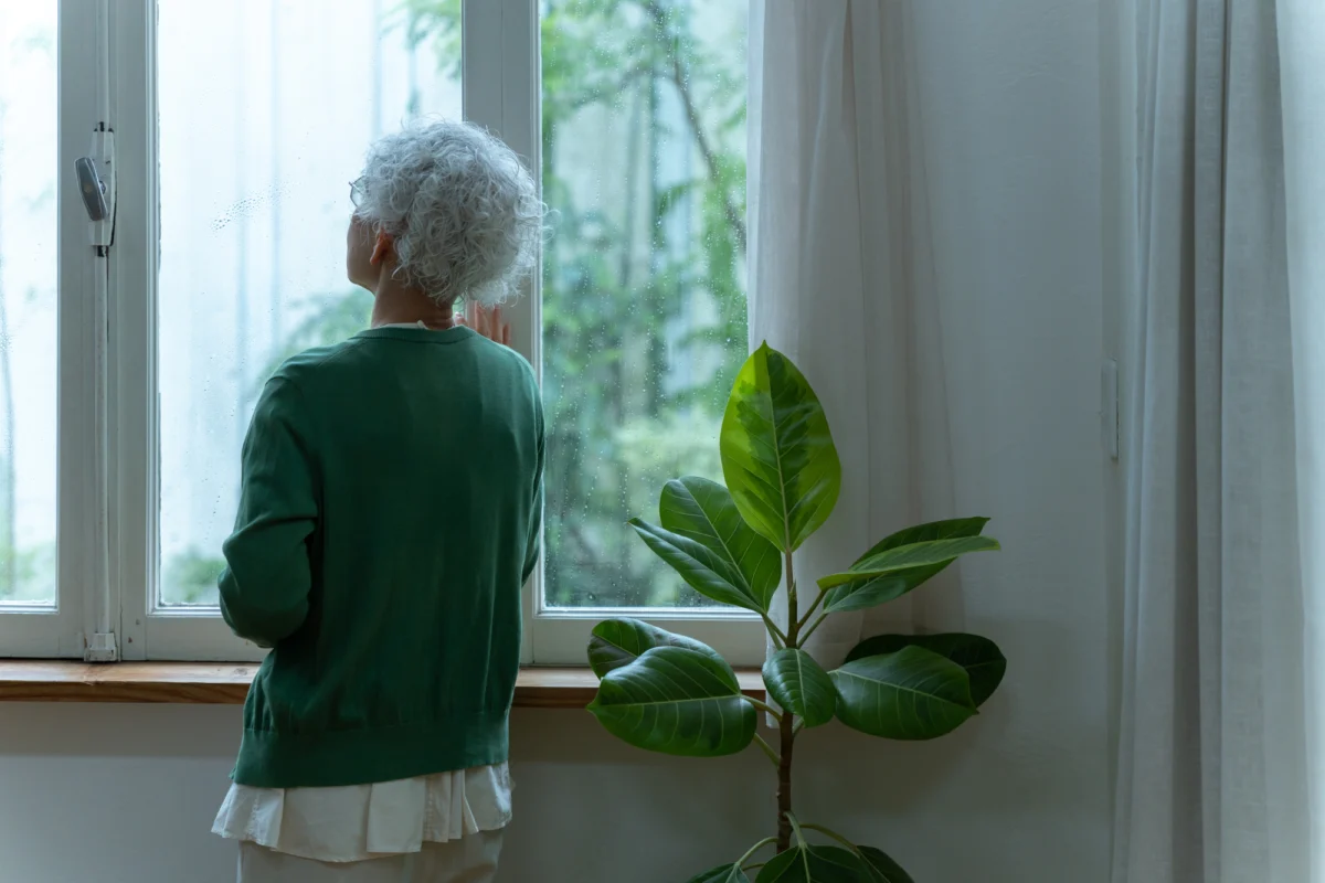 The Silent Crisis: Japan’s "80/50" Hikikomori Phenomenon