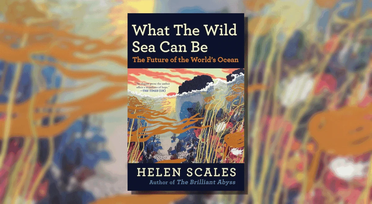 The Uncharted Future: Navigating the Anthropocene Ocean