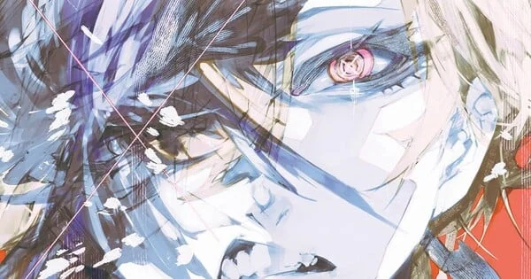 Bungo Stray Dogs STORM BRINGER Manga Pauses Amidst Health Concerns for Artist Shiwasu Hoshikawa