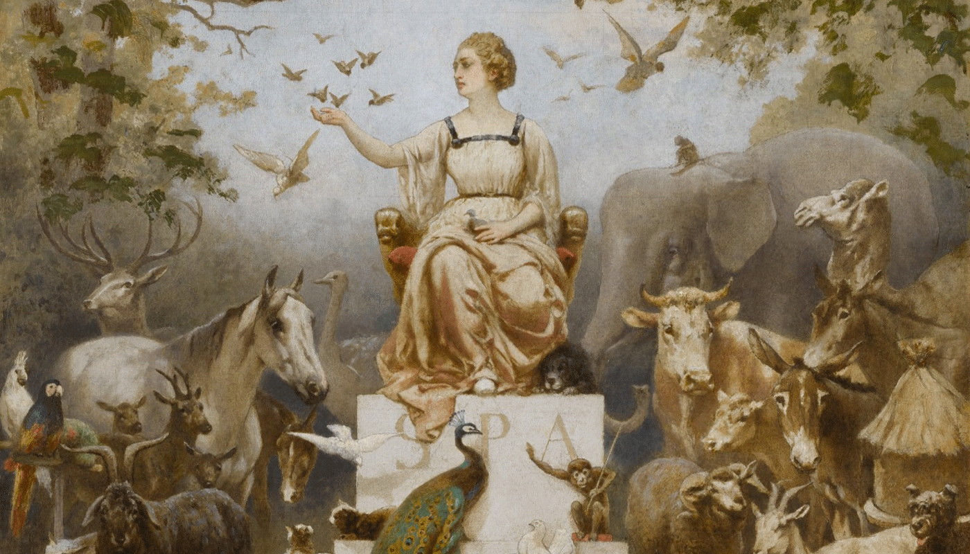 The Great Divide: Why Our Stories About Animals Reveal a Deep-Seated Human Denial