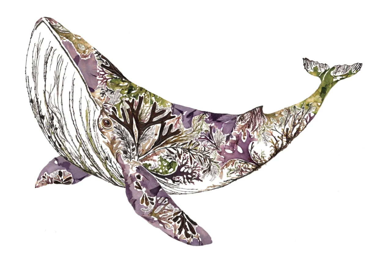 Nature as Palette: The Exquisite Botanical Artistry of Helen Ahpornsiri