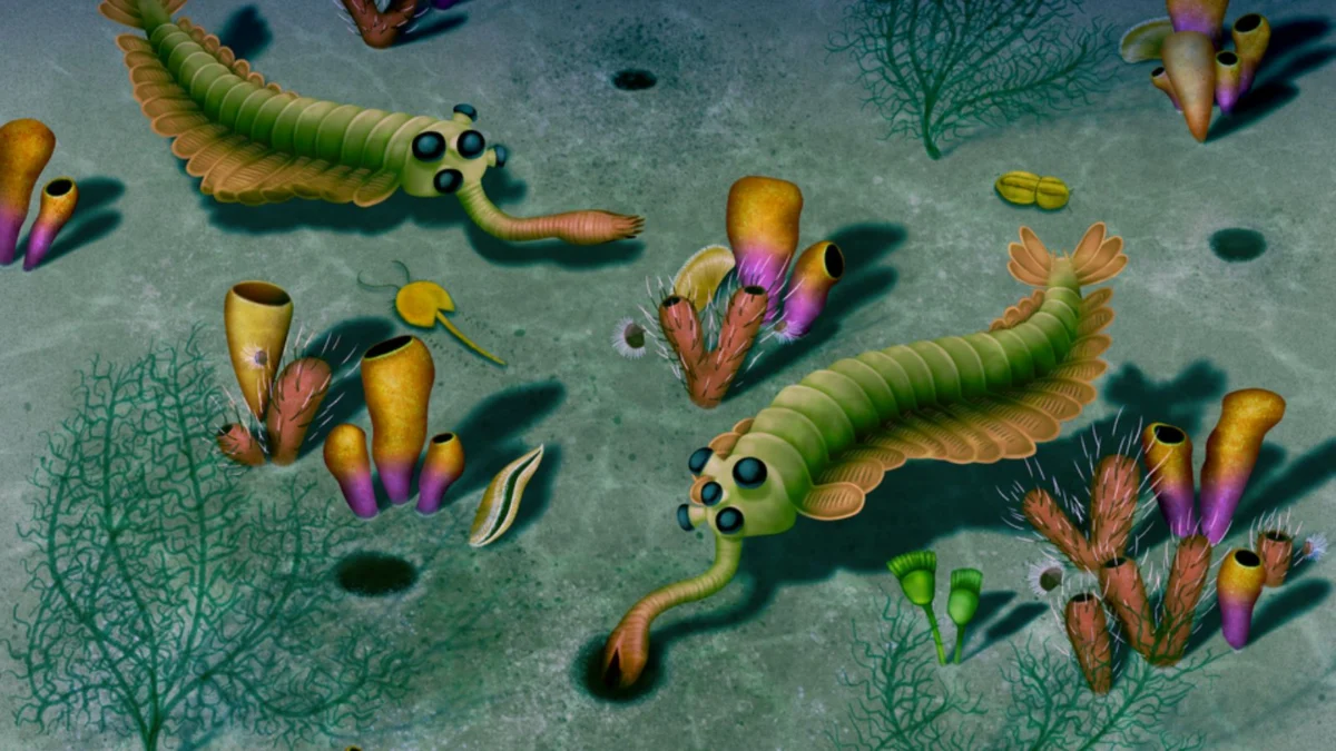 The Great Nutrient Flush: How the Evolution of the Anus Fueled the Cambrian Explosion