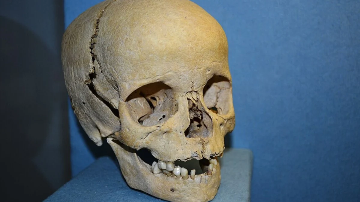 The Macabre Marketplace: YouTuber ‘Horses’ Sparks Ethical Debate Over Human Remains in Creator Merch