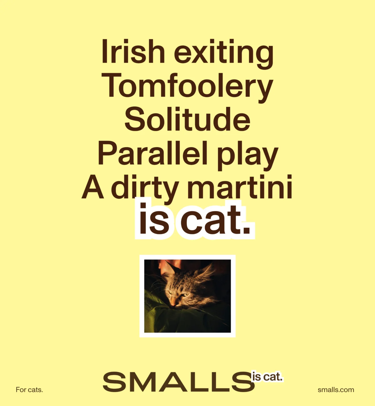 The Philosophy of Feline Branding: Why Smalls’ New Campaign Is Redefining Pet Industry Advertising