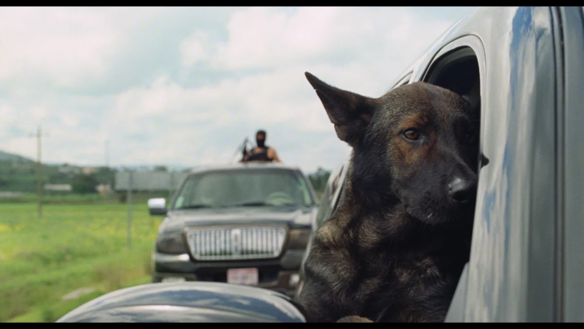The Unspoken Bond: Rodrigo Garcia Saiz Explores Redemption and Resilience in "Morro"