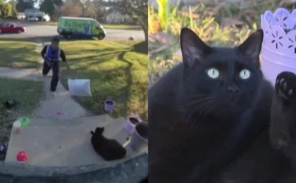 Viral Outrage: Delivery Driver Faces Backlash After Assaulting Family Pet on Porch